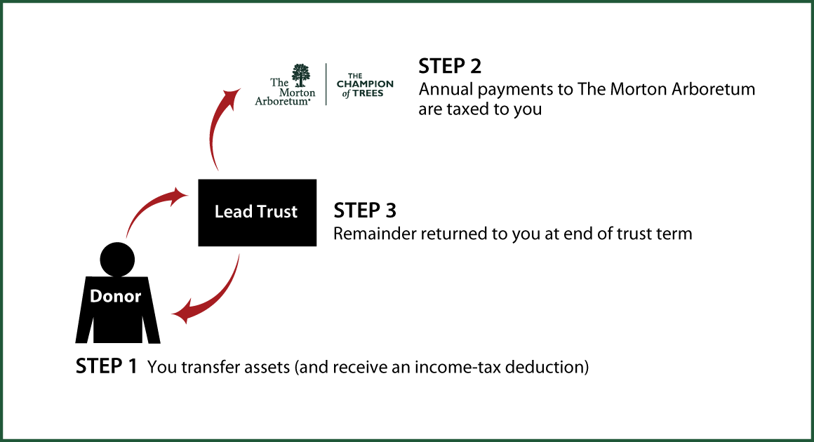 Grantor Lead Trust Diagram. Description of image is listed below.