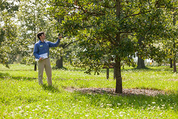 Man inspecting a tree. Link to Life Stage Gift Planner Under Age 60 Situations. Man inspecting a tree. Link to Life Stage Gift Planner Under Age 60 Situations.