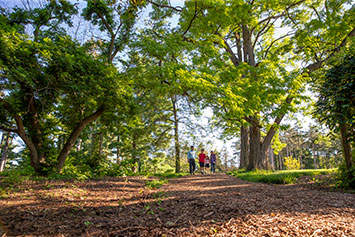 People walking through the arboretum. Link to Gifts That Pay You Income. People walking through the arboretum. Link to Gifts That Pay You Income.