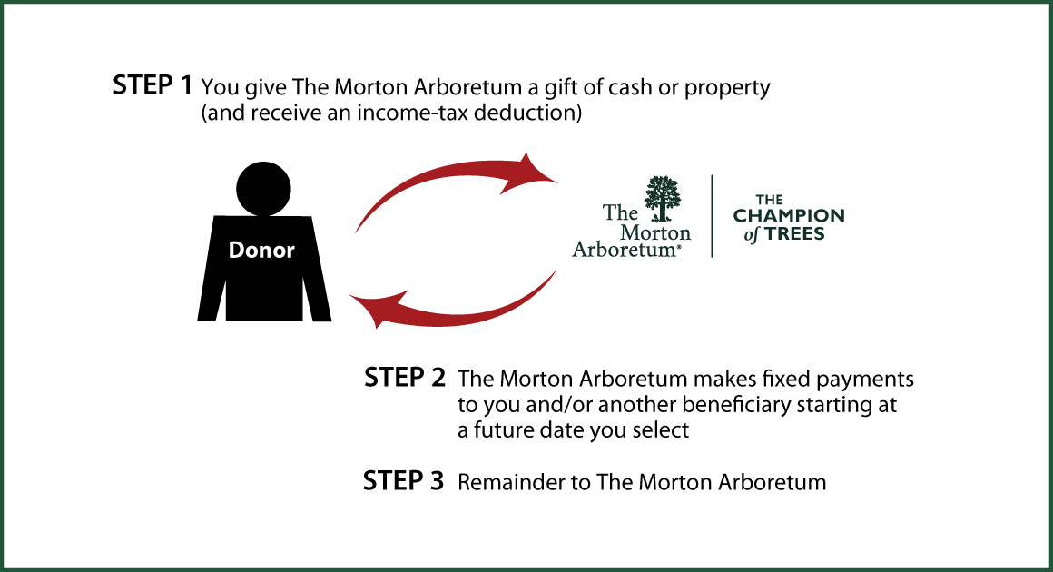 Deferred-Payment Charitable Gift Annuity Diagram. Description of image is listed below.