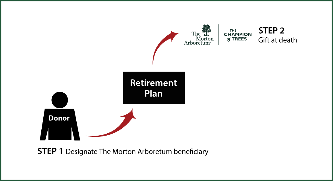 Gifts from Retirement Plans at Death Thumbnail
