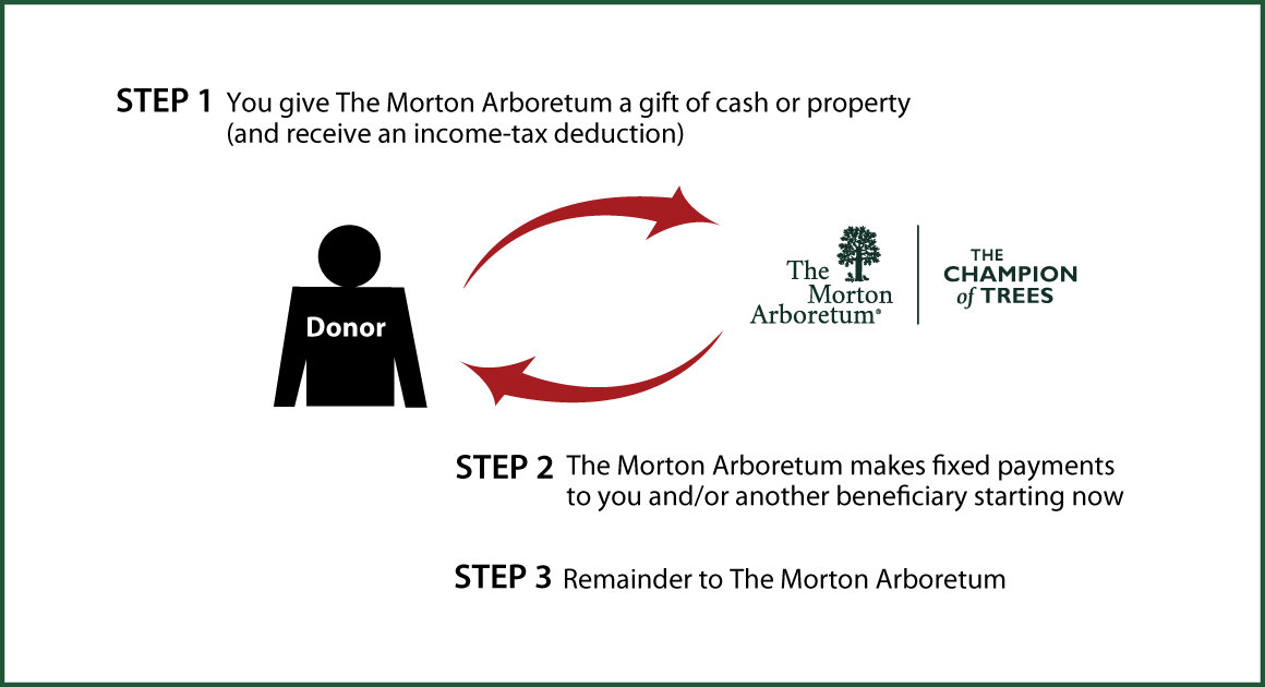 Immediate-Payment Charitable Gift Annuity Diagram. Description of image is listed below.