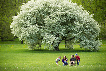 Family posing in front of a flowering tree. Link to Gifts of Appreciated Securities Family posing in front of a flowering tree. Link to Gifts of Appreciated Securities