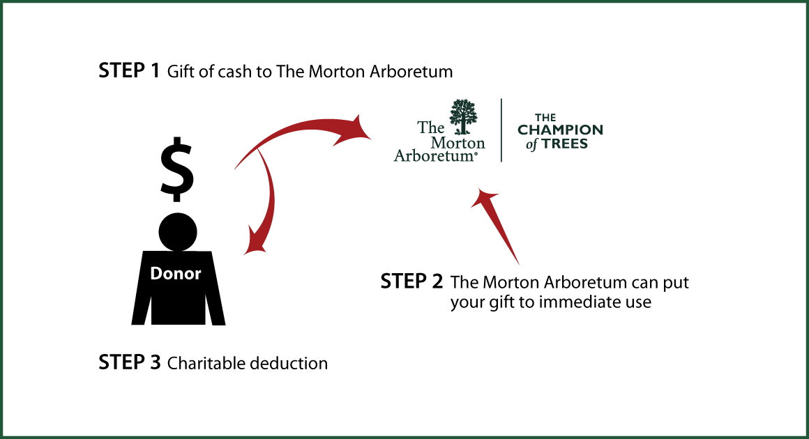Cash, Checks, and Credit Cards Diagram. Description of image is listed below.