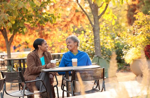 The Morton Arboretum